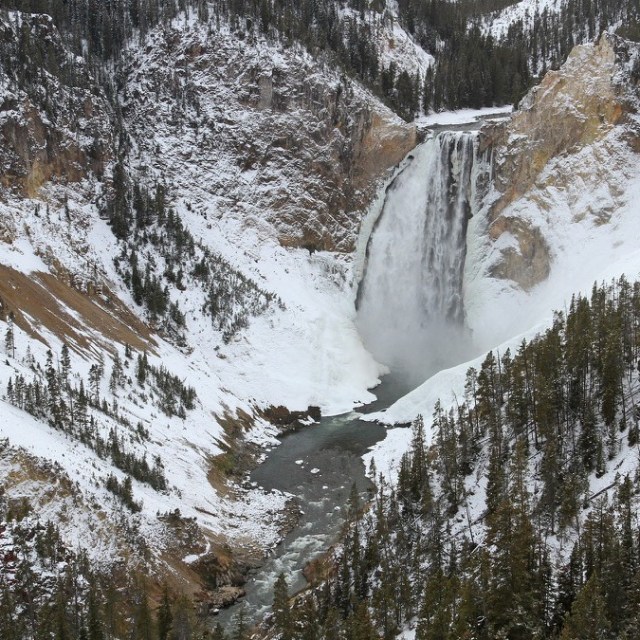 a waterfall with trees on the side of a snow covered slope